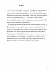 www.speros.lt